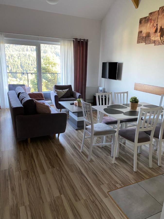 Widokowy 9 Sauna I Jacuzzi Szczyrk